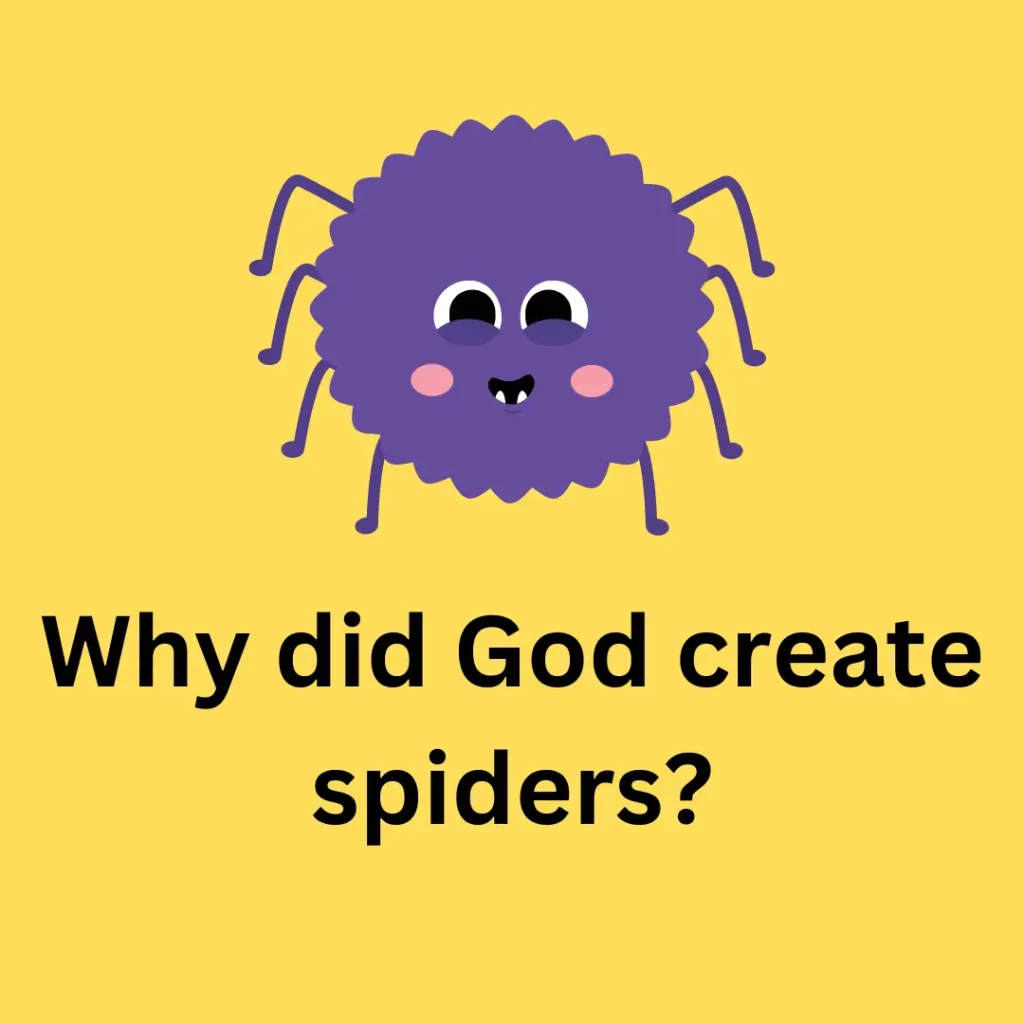 Why did God create spiders