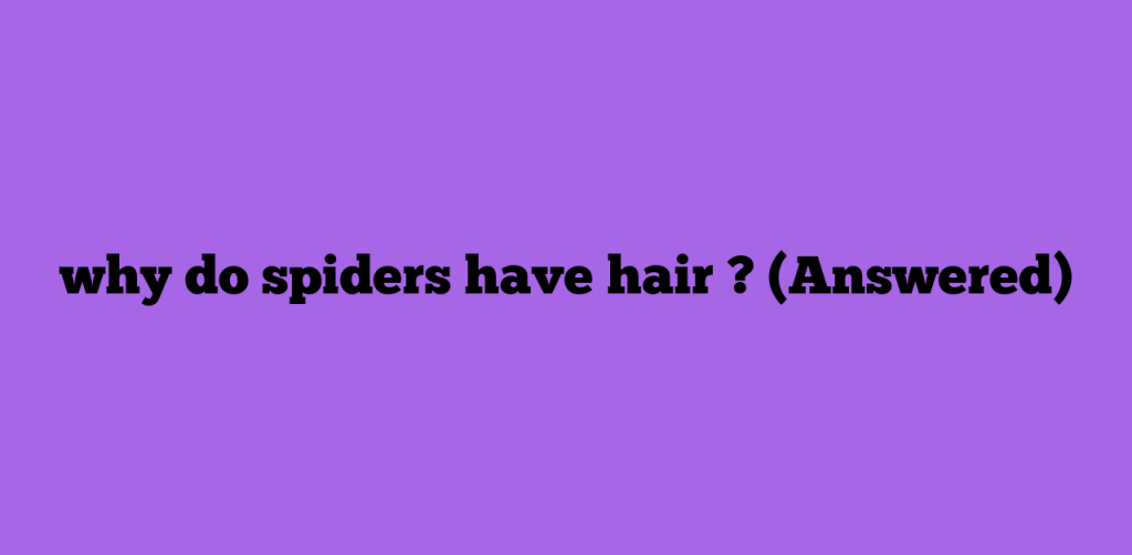 why do spiders have hair ? (Answered)